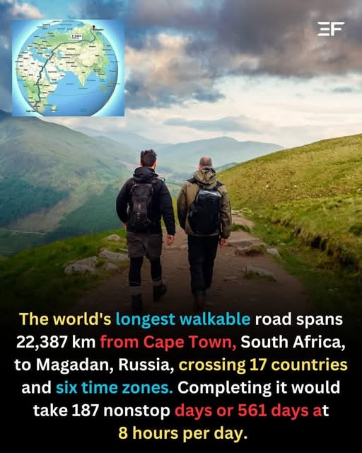 A picture of the longest road